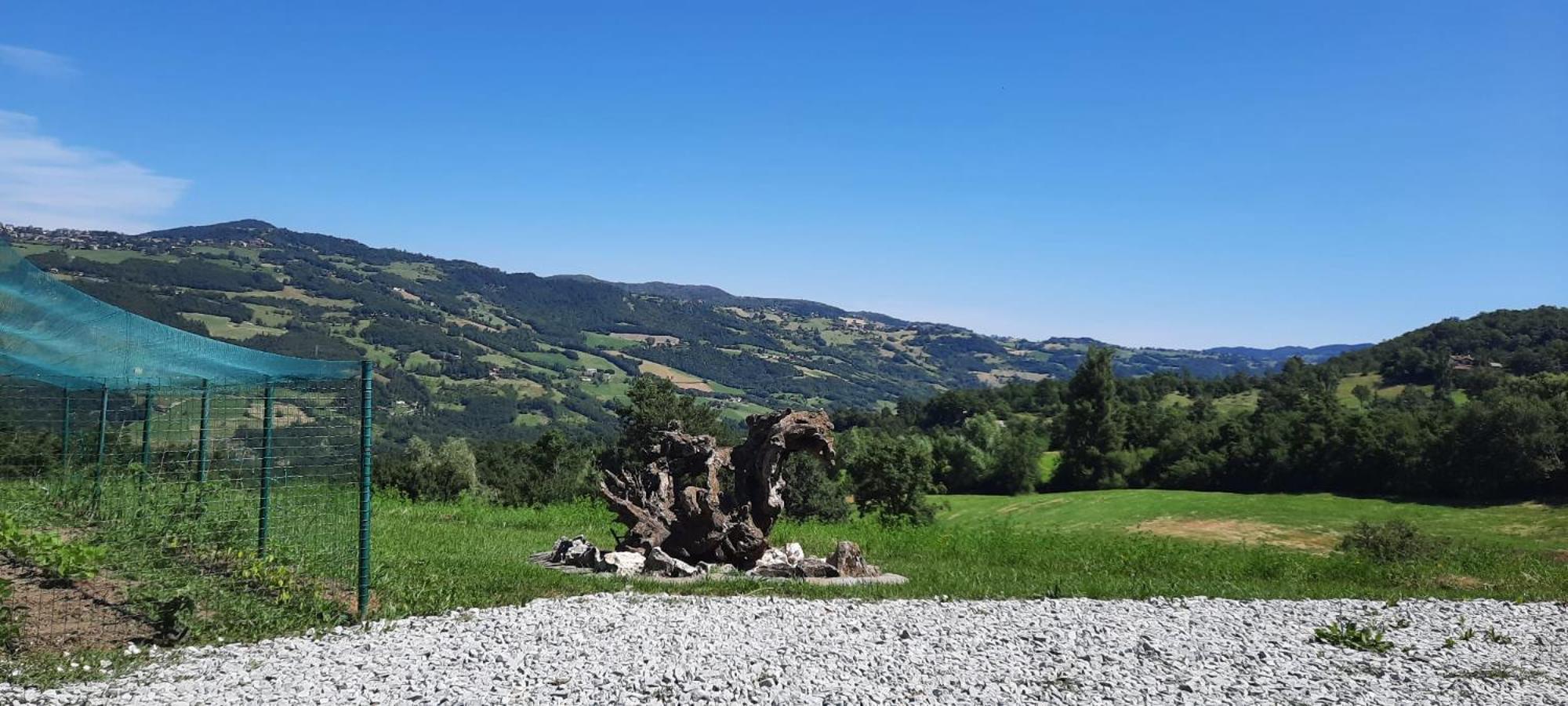 Casa Tonacchiolo Bed and Breakfast Acquaria Exteriör bild